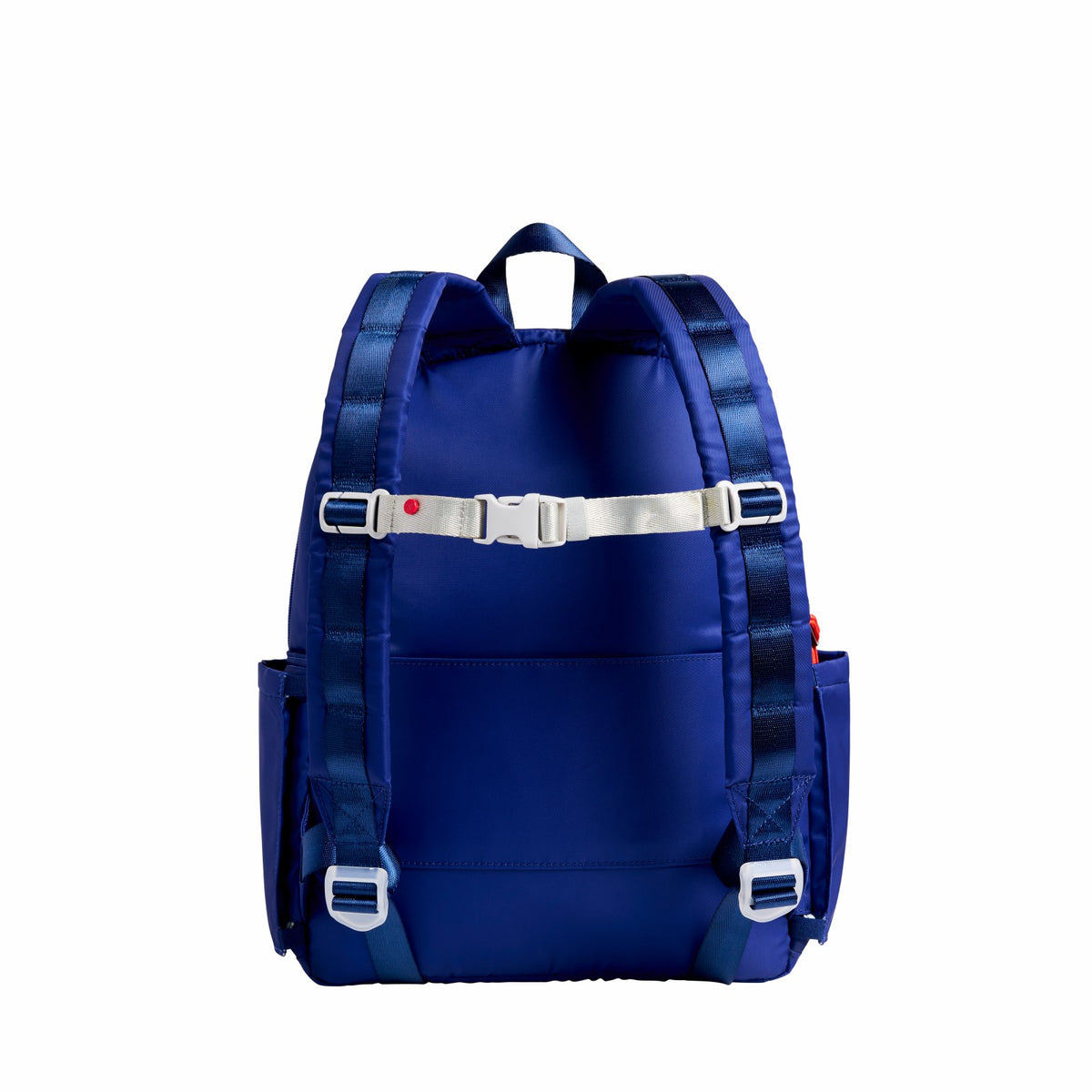 Detachable Chest Strap Zebra | State Bags Everyday