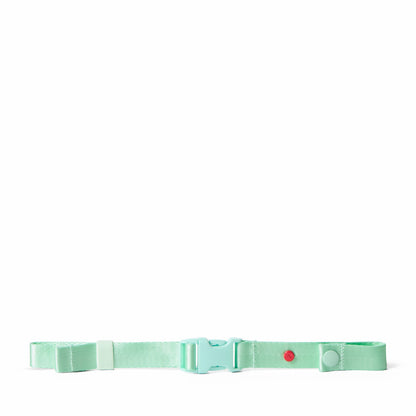 Detachable Chest Strap Mint | State Bags Classic